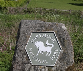 The Dartmoor Pony, emblem of Dartmoor National park