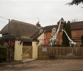 Giraffe's in the garden at the Shears Inn, Collingbourne Ducis